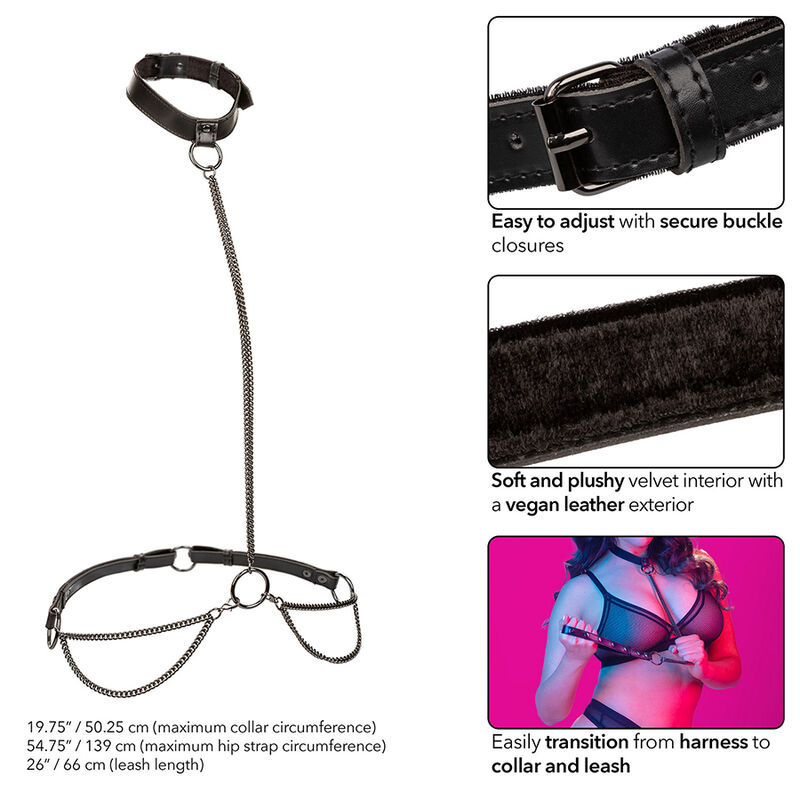 CALEXOTICS - EUPHORIA COLLAR HALTER Y CORREA CON CADENA TALLA PLUS - Imagen 5