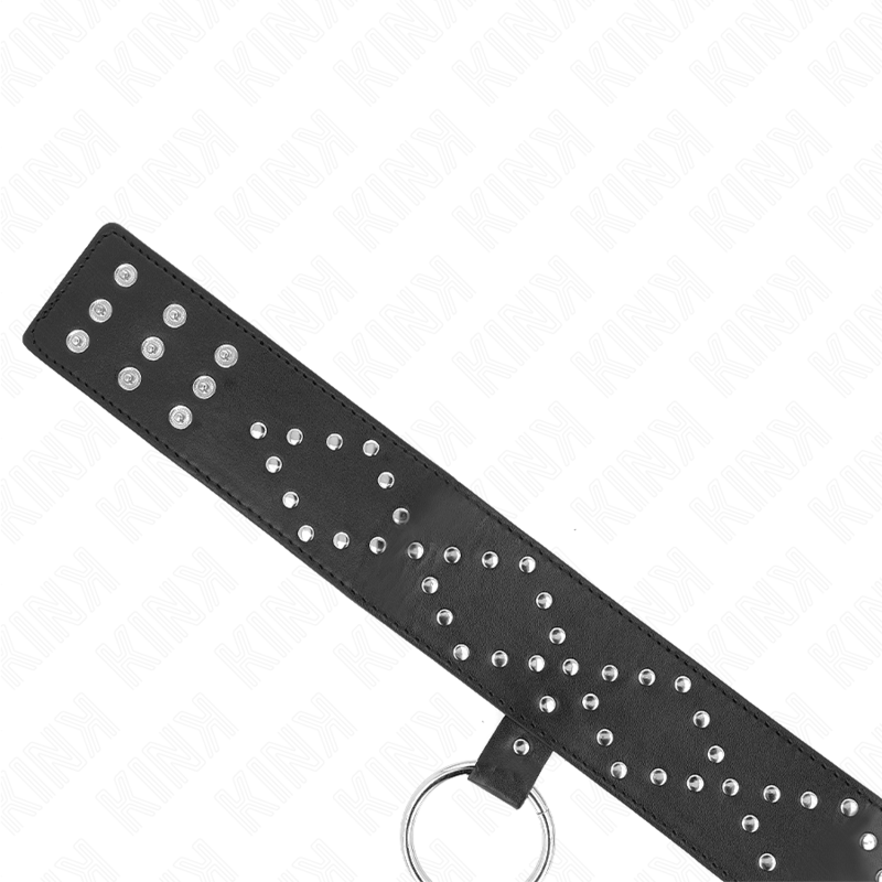 KINK - COLLAR CON CORREA 65 CM CON TACHUELAS PLATEADAS MODELO 3 AJUSTABLE 36-43 CM X 5 CM - Imagen 4
