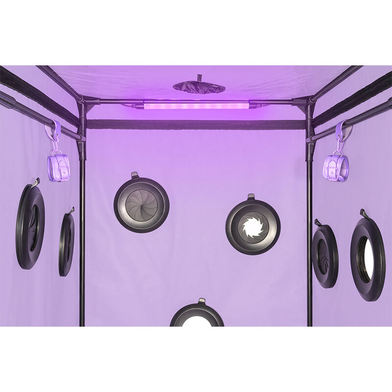SECRET DOME - KINK CLUB CABINA SCANDALE MORADO - Imagen 8