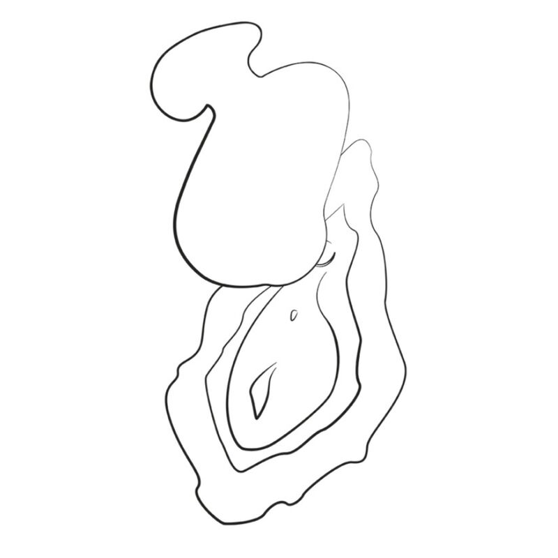ROMP - KISS SUCCIONADOR DE CLÍTORIS VIBRADOR DE DEDO RECARGABLE - Imagen 2