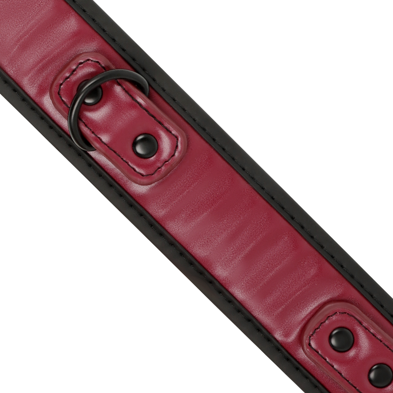 FETISH SUBMISSIVE DARK ROOM - COLLAR CON CADENA CON FORRO DE NEOPRENO - Imagen 3